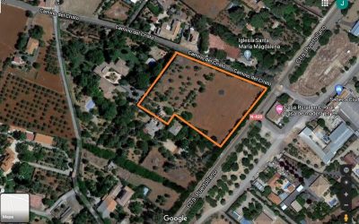 Se vende parcela de 10.000 m2 en La Poblachuela, Ciudad Real